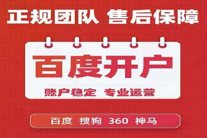 某品牌SEM代运营的成长历程与启示